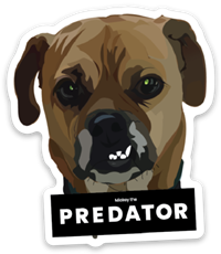 логотип Predator